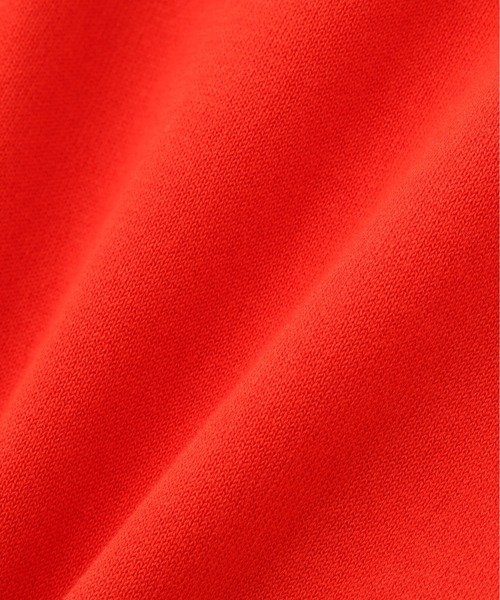 YLEVE（イレーヴ）の「YLEVE / COTTON KNIT PULLOVER（ニット/セーター・レディース・ネイビー/レッド/グレー・1）」の5枚目の写真