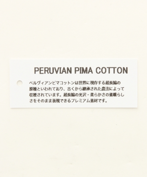 A part by(アパートバイ)の「ペルヴィアンピマBIGTシャツ2 796368(Tシャツ/カットソー・レディース・ベージュ/ライトパープル/ホワイト/ブラック・FREE)」の6枚目の写真