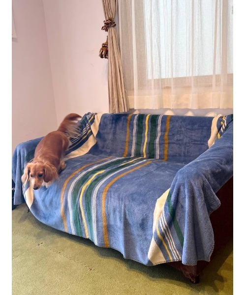 BAYFLOW（ベイフロー）の「[軽いのに暖かいふわふわの肌触り]Lsizeフリースブランケット 23AW（ブランケット・レディース・ベージュ/サックスブルー系/ピンク系/ネイビー系/パープル系・0）」の14枚目の写真