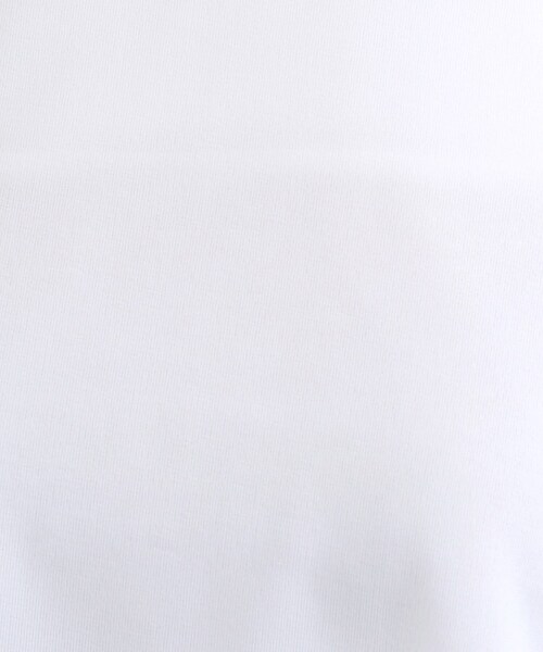 INDIVI(インディヴィ)の「ストレッチシアーロングTシャツ(Tシャツ/カットソー・レディース・ホワイト/ブラック/パープル/ダークグレー・34/15 /13/38/05)」の5枚目の写真