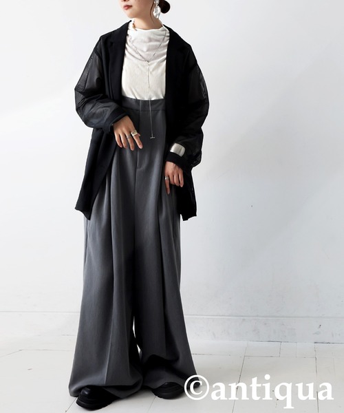 antiqua(アンティカ)の「ドット柄シアートップス(その他トップス・レディース・ホワイト/ブラック・ONESIZE)」の16枚目の写真