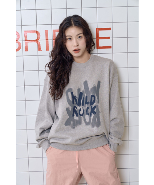 WILDROCK(ワイルドロック)の「ファイヤーワークダブルマンツーマン_ダークグレー(スウェット・レディース・その他・MEDIUM/SMALL/LARGE)」の5枚目の写真