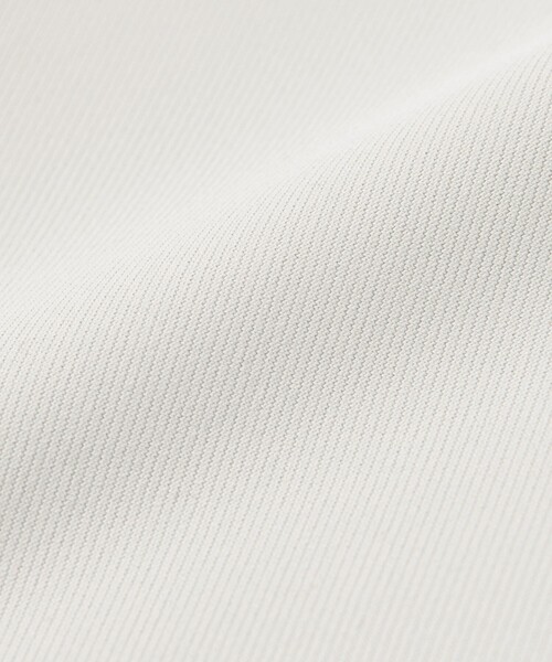 green label relaxing（グリーンレーベルリラクシング）の「ハイネックWリボンフレア&ショーツ スイムウェア / 水着（水着・レディース・ブラック/ライトグレー・FREE）」の15枚目の写真