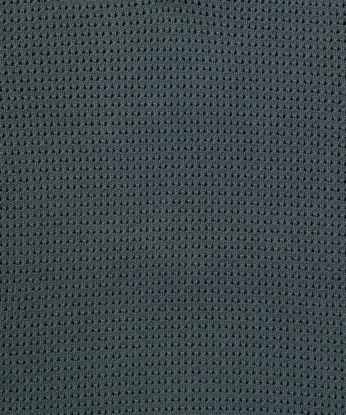 Levi's(リーバイス)の「Levi's/リーバイス ディロン オープンカラーポロシャツ(ポロシャツ・メンズ・ブルー・S/M/L/XL)」の2枚目の写真
