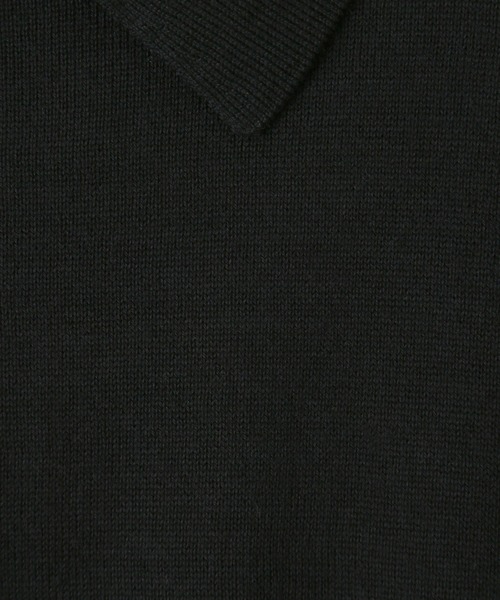 ANAYI（アナイ）の「チュールドット プリント衿付きニット プル