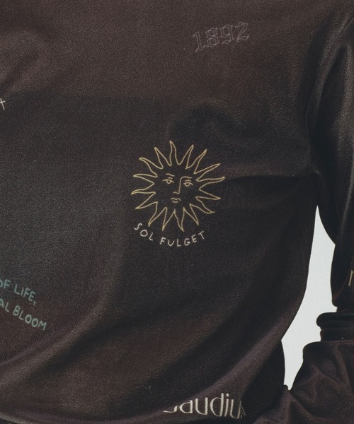 ROSE BUD（ローズバッド）の「SHEER VELOUR L/S TEE（Tシャツ/カットソー・レディース・ホワイト/グレー/ブラウン・ONE SIZE）」の16枚目の写真