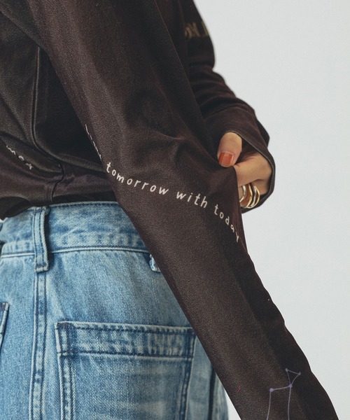 ROSE BUD（ローズバッド）の「SHEER VELOUR L/S TEE（Tシャツ/カットソー・レディース・ホワイト/グレー/ブラウン・ONE SIZE）」の18枚目の写真