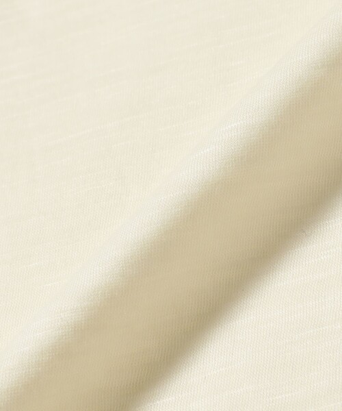 BEAMS PLUS(ビームスプラス)の「【別注】Healthknit / Wool T-shirt(Tシャツ/カットソー・メンズ・オフホワイト/グレー・L/M/S/XL)」の7枚目の写真