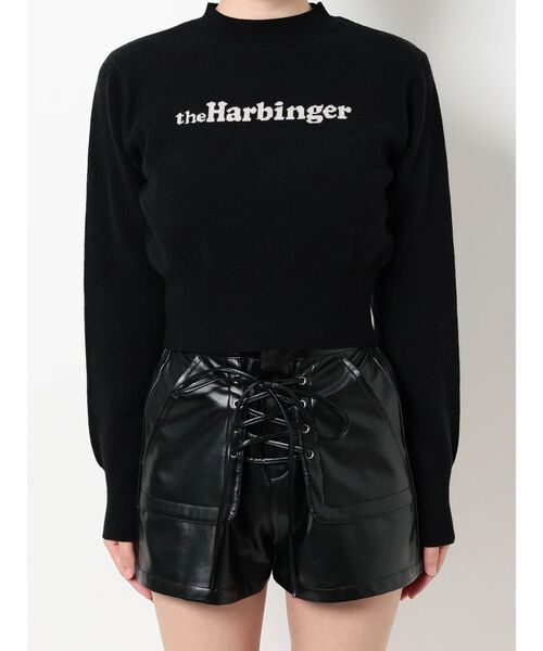 GYDA（ジェイダ）の「theHarbinger ニットトップス（ニット/セーター・レディース・アイボリー/ブラック/ベージュ・FREE）」の13枚目の写真