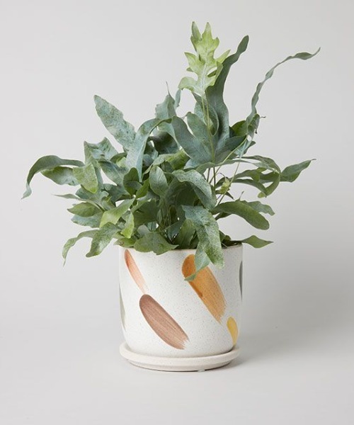 デシレ ポット 15cm/358051（フラワーベース）｜TODAY'S SPECIAL