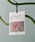 studio CLIPiX^fBINbvj́uOHSCENT TVFi[tOX/jvb̑2