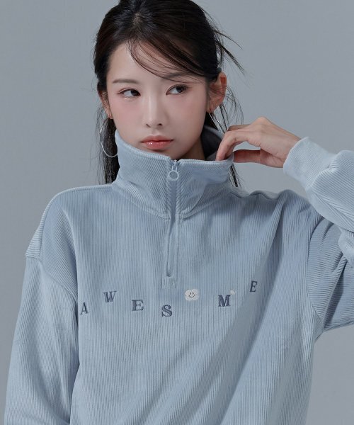 CHASECULT(チェイスカルト)の「女性起毛半ジップスウェット-CFRG5175D0D(スウェット・レディース・ブルー・85/90)」の2枚目の写真