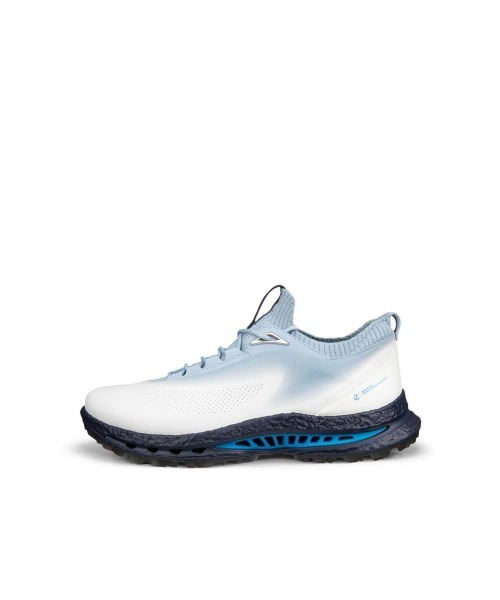 ECCO(エコー)の「ECCO 売れ筋 GOLF BIOM C5 メンズ 本革 ゴルフシューズ 防水(スニーカー・メンズ・ホワイト・41/42)」の7枚目の写真
