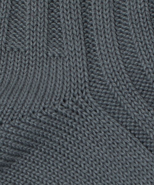 green label relaxing（グリーンレーベルリラクシング）の「リブ ソリッド ソックス（ソックス/靴下・メンズ・ベージュ/コバルトブルー/ピンク/ダークグレー/ケリーグリーン/ライトグレー・FREE）」の9枚目の写真