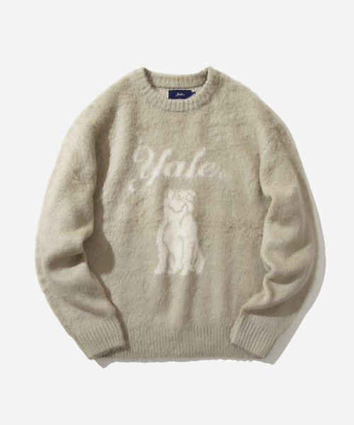 YALE(イェール)の「ヘリテージダンブラシラウンドニット_グリーンベージュ(ニット/セーター・レディース・その他・SMALL/WS/MEDIUM)」の1枚目の写真