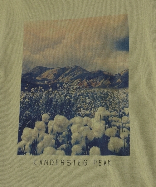 RAGEBLUE（レイジブルー）の「カラーフォトプリントTシャツ/721857（Tシャツ/カットソー・メンズ・オリーブ/グレー系その他/ホワイト/キャメル・MEDIUM/LARGE）」の19枚目の写真