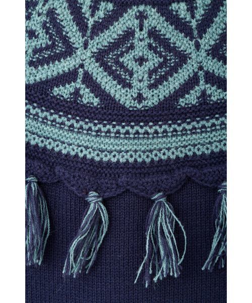 N.（N. Natural Beauty Basic）（エヌエヌナチュラルビューティーベーシック）の「フリンジジャガードニット（ニット/セーター・レディース・グレー系その他/ダークネイビー・MEDIUM）」の19枚目の写真