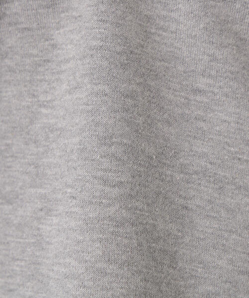 N.（N. Natural Beauty Basic）（エヌエヌナチュラルビューティーベーシック）の「Vネックスウェットプルオーバー（スウェット・レディース・ネイビー/ホワイト/グレー・MEDIUM）」の14枚目の写真