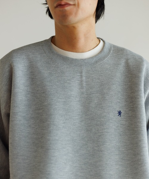 GYMPHLEX(ジムフレックス)の「Gymphlex / DDN_CREW NECK P.O.(スウェット・メンズ・チャコール/アイボリー・L)」の20枚目の写真