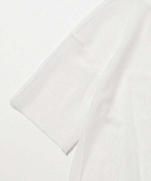 Ray BEAMS(レイビームス)の「【予約】Ray BEAMS / ドット チュール シアー ワンピース(ワンピース・レディース・ホワイト/ブラック・ONE SIZE)」の6枚目の写真