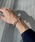 UNDERSTATEMENTs�i�A���_�[�X�e�C�g�����g�j�́u�y���j�Z�b�N�X�z�`�F�[���u���X���b�g�i�u���X���b�g�j�v�b�V���o�[