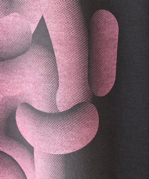WHIMSIC（ウィムジック）の「【WHIMSIC】フローイング ロゴ シルクスクリーン スウェットプルオーバー（Tシャツ/カットソー・レディース・ピンク/チャコールグレー/ブルー・2/1）」の12枚目の写真