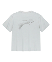 OFFGRID（オフグリッド）の「ブリジェックスエアロクールニスコーストライン半袖Tシャツ-ライトグレー（Tシャツ/カットソー）」