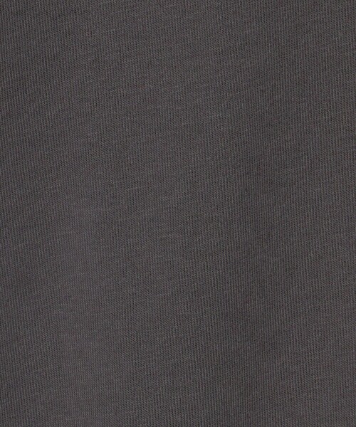 A DAY IN THE LIFE UNITED ARROWS(アデイインザライフユナイテッドアローズ)の「裏毛 ロゴスウェット <A DAY IN THE LIFE>(スウェット・レディース・レッド/ダークグレー/ネイビー/ナチュラル・FREE)」の12枚目の写真
