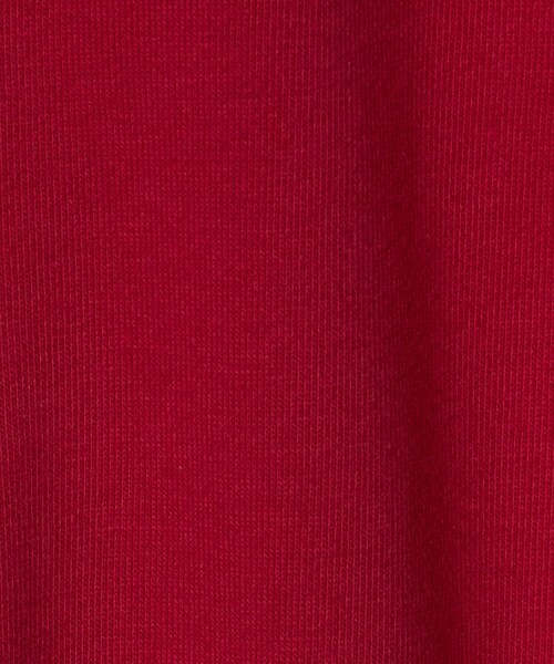 A DAY IN THE LIFE UNITED ARROWS(アデイインザライフユナイテッドアローズ)の「裏毛 ロゴスウェット <A DAY IN THE LIFE>(スウェット・レディース・レッド/ダークグレー/ネイビー/ナチュラル・FREE)」の18枚目の写真