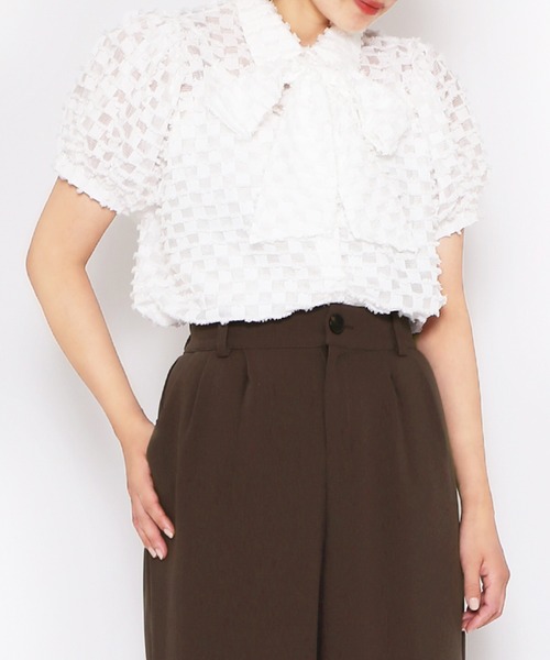 PUNYUS（プニュズ）の「リボン付きシアー半袖ブラウス（シャツ/ブラウス・レディース・ホワイト/ブラック/サックスブルー・1/2/3/4）」の5枚目の写真