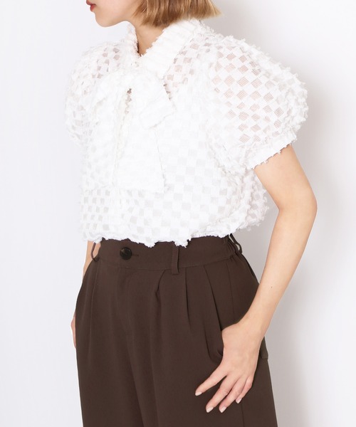 PUNYUS（プニュズ）の「リボン付きシアー半袖ブラウス（シャツ/ブラウス・レディース・ホワイト/ブラック/サックスブルー・1/2/3/4）」の9枚目の写真