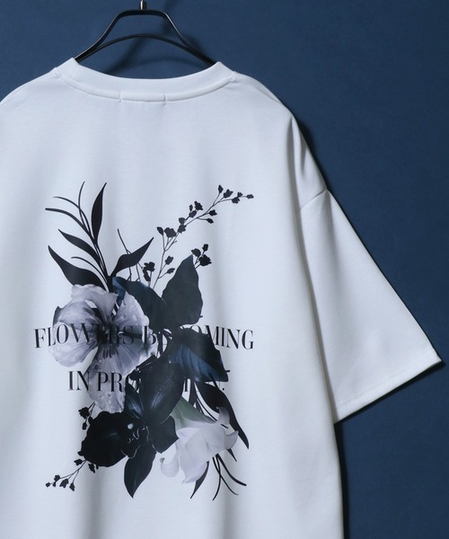 パンパス プリント シルク アンド ジャージー Tシャツ・PAMPAS セール】 バックロゴプリント 布帛切替 半袖Tシャツ （Tシャツ