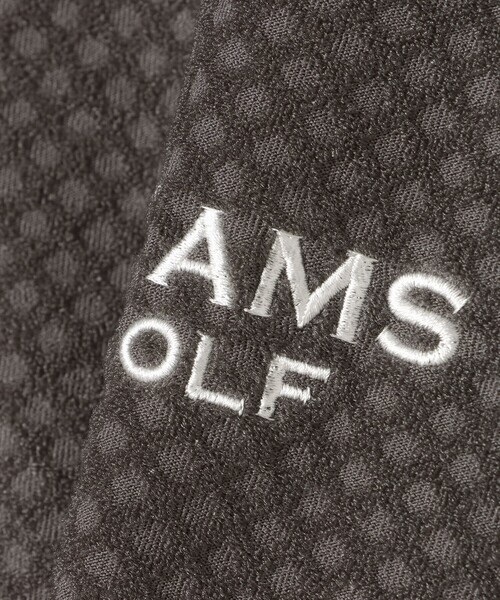 BEAMS GOLF(ビームスゴルフ)の「PURPLE LABEL / スフィダンテ グリッド モックネックシャツ(Tシャツ/カットソー・メンズ・チャコールグレー/ホワイト/ネイビー・S/M/L/XL)」の18枚目の写真