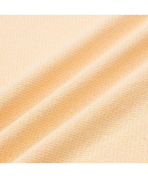 PRODESHIRT(プロデシャツ)の「ヴィンテージリネンピケポロニット(ハニー)(ニット/セーター・メンズ・その他・M/L/XL)」の5枚目の写真