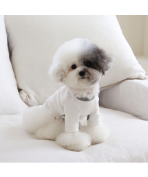 CHIOT（シュオト）の「メロフィットパッチTシャツ（アイボリー）（ペットウェア）」