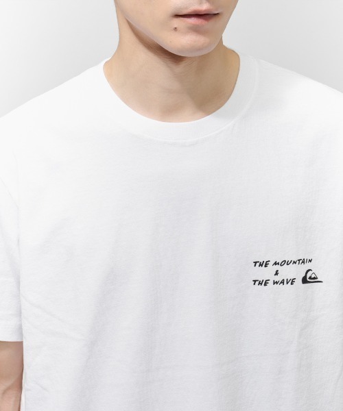 Quiksilver(クイックシルバー)の「クイックシルバー QUIKSILVER PG NEW HD ST(Tシャツ/カットソー・メンズ・ブラック/レモンイエロー/ホワイト/ピンク・M/L/LL/S)」の16枚目の写真