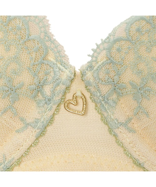 ❗️トリトリグモ　タイワンアブラゼミ　他　昆虫　標本セット✨ ❗️トリトリグモ タイワンアブラゼミ 他 昆虫 標本セット✨