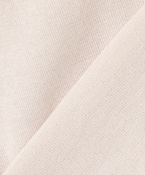 J.PRESS(ジェイプレス)の「【洗える】DRY COTTON ニットポロ(ポロシャツ・レディース・ライトグレー系/ベージュ系/ネイビー系・T13/T15)」の19枚目の写真
