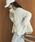 DOUX ARCHIVES�i�h�D�A���V�[���j�́u�y�V�F�ǉ��z�X�^���h�L���e�B���O�_�E���i�_�E���W���P�b�g/�R�[�g�j�v�b�A�C�{���[