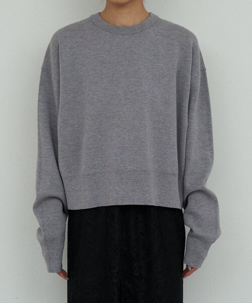 GALLARDAGALANTE（ガリャルダガランテ）の「スウェットライククルーニット（Tシャツ/カットソー・レディース・グレー/レッド/ホワイト・FREE）」の18枚目の写真