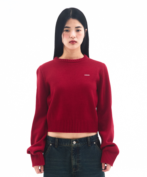 AMESWORLDWIDE（アメスワールドワイド）の「BASIC SMALL LOGO KNIT RED（ニット/セーター・レディース・その他・SMALL/MEDIUM/LARGE）」の2枚目の写真