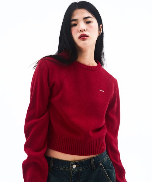 AMESWORLDWIDE（アメスワールドワイド）の「BASIC SMALL LOGO KNIT RED（ニット/セーター・レディース・その他・SMALL/MEDIUM/LARGE）」の8枚目の写真