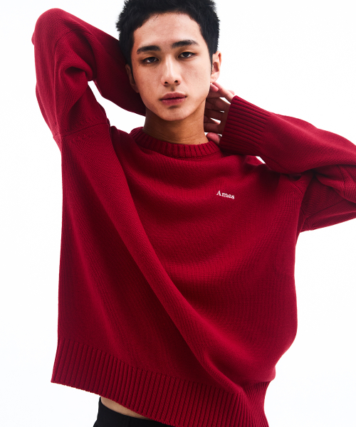 AMESWORLDWIDE（アメスワールドワイド）の「BASIC SMALL LOGO KNIT RED（ニット/セーター・レディース・その他・SMALL/MEDIUM/LARGE）」の9枚目の写真