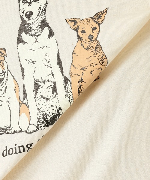 SLOBE citron.（スローブシトロン）の「長袖カットソー（Tシャツ/カットソー・レディース・ナチュラル・FREE）」の13枚目の写真