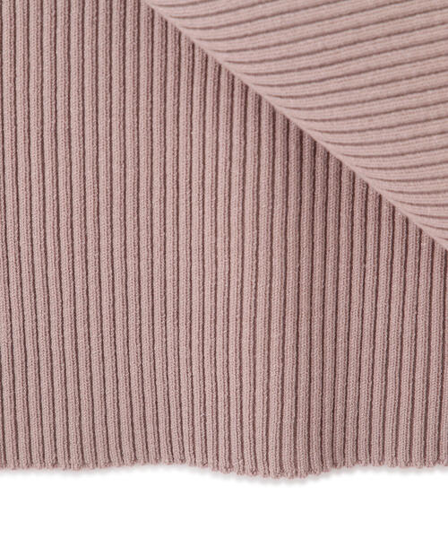 PROPORTION BODY DRESSING（プロポーションボディドレッシング）の「前後２ＷＡＹミニマルタイトニットワンピース / 1214140107（ワンピース・レディース・ブラック/ベージュ/ライトグリーン・MEDIUM）」の17枚目の写真