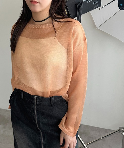apres jour mignon(アプレジュールミニョン)の「シアーニットトップス【ZOZOTOWN限定アイテム】(ニット/セーター・レディース・ピンク/オレンジ/ブルー系その他/シルバー・フリー/X-LARGE)」の19枚目の写真