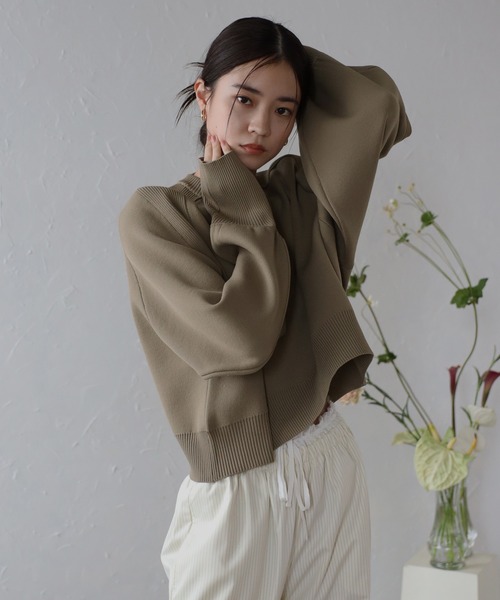 ENC(エンク)の「arm rib stitch cropped double knit / アーム切替リブ編みクロップド丈ダンボールニット(ニット/セーター・レディース・オフホワイト/ライトイエロー/ベージュ/グリーン・FREE)」の2枚目の写真