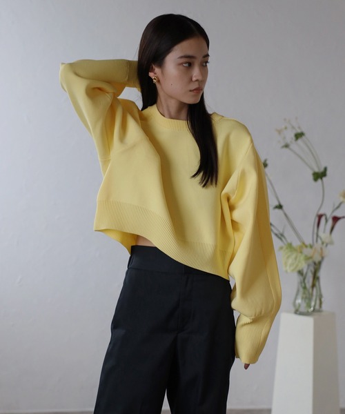 ENC(エンク)の「arm rib stitch cropped double knit / アーム切替リブ編みクロップド丈ダンボールニット(ニット/セーター・レディース・オフホワイト/ライトイエロー/ベージュ/グリーン・FREE)」の4枚目の写真