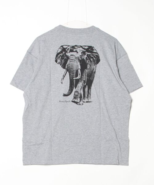 BANANA REPUBLIC FACTORY STORE（バナナリパブリック ファクトリーストア）の「BANANA REPUBLIC FACTORY STORE　　日本限定 グラフィックTシャツ（Tシャツ/カットソー・メンズ・ホワイト系その他/ライトグレー/ブルー/ブラック/ホワイト/ヘザーグレー/グレー・S/M/L/XL）」の12枚目の写真