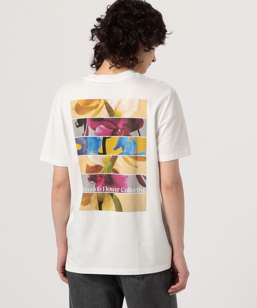 LISA KING(リサ キング)の「LISA KING 0000 ハーフスリーブプルオーバー(Tシャツ/カットソー・レディース・ホワイト系その他・S)」の5枚目の写真